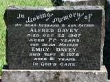 image of grave number 781133
